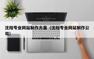常德沈阳专业网站制作方案（沈阳专业网站制作公司）